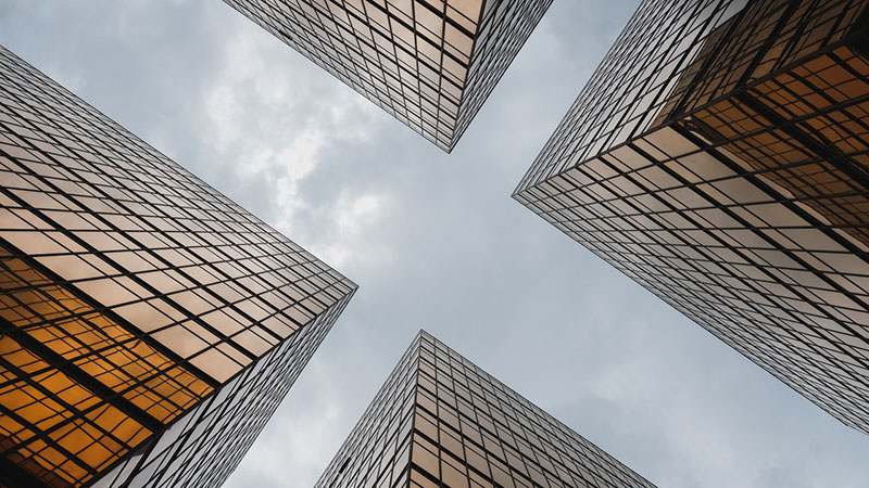 青岛墨禾农业科技有限公司